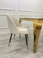 Load image into Gallery viewer, Astra Dining Chair
